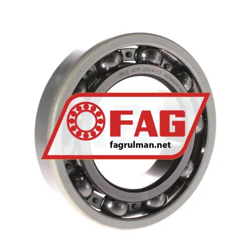 FAG 6219-J20AA-C3