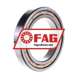 FAG 6020-M-C4