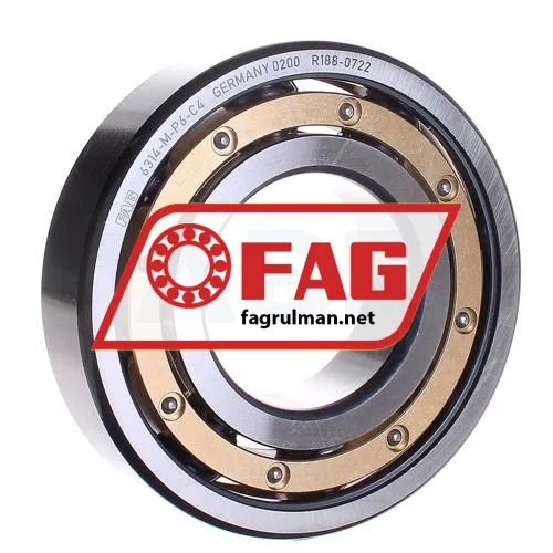 FAG 6314-M-P6-C4