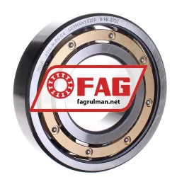 FAG 6314-M-P6-C4
