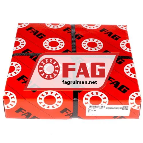 FAG 6319-M-C4