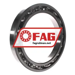FAG 61938-C3