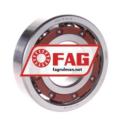 FAG 6309-TB-P6-C3
