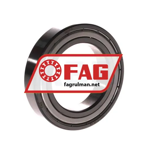 FAG 6010-Z
