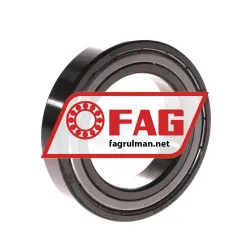 FAG 6010-Z