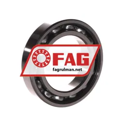 FAG 6010-Z rulman resim 2