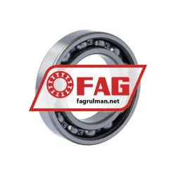 FAG 6009-RSR rulman resim 2