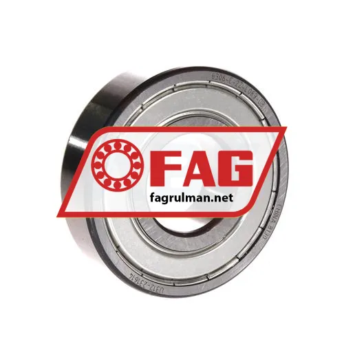 FAG 6306-C-2Z-L069-C3