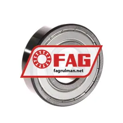 FAG 6306-C-2Z-L069-C3