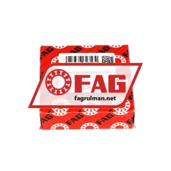 FAG 6007-2Z-L207-C3 rulman resim 3