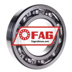 FAG 6219-C3