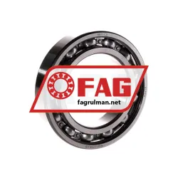 FAG 6011-C3