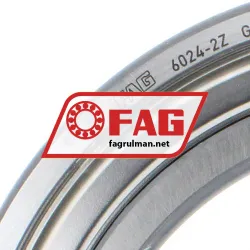 FAG 6024-2Z rulman resim 2