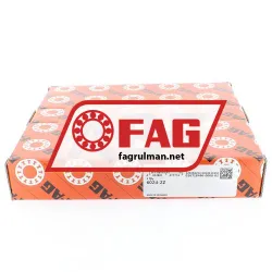 FAG 6024-2Z rulman resim 5