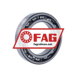 FAG 6014-C2