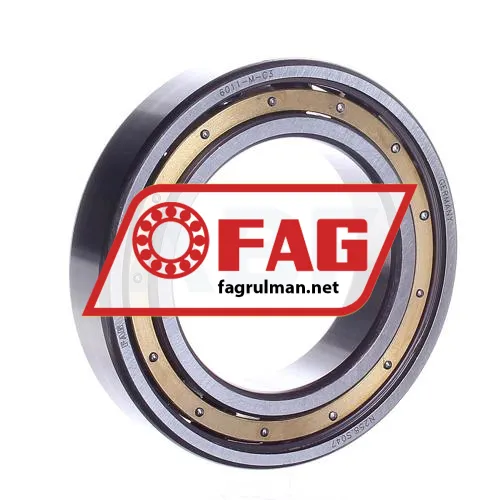 FAG 6011-M-C3