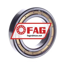 FAG 6011-M-C3