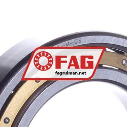 FAG 6011-M-C3 rulman resim 2