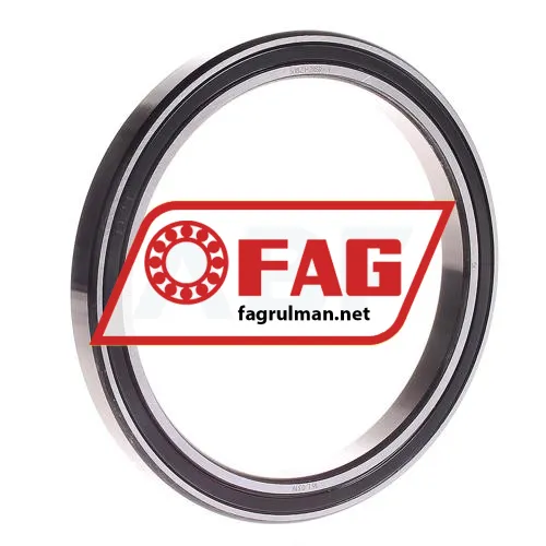 FAG 61821-2RSR-Y