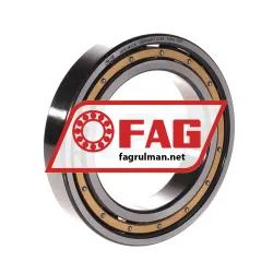FAG 6015-M-C4