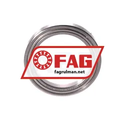 FAG 61704-2Z-HLC rulman resim 2