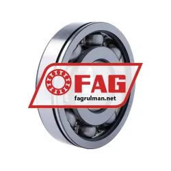 FAG 6411-N rulman resim 2