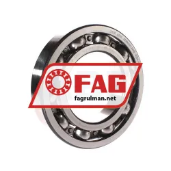 FAG 6220