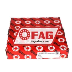 FAG 6220 rulman resim 3
