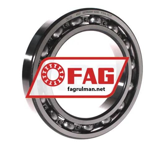 FAG 6021