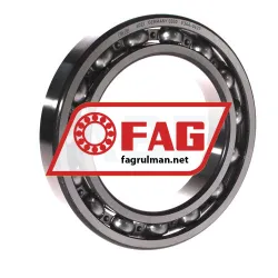FAG 6021