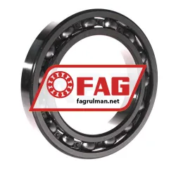 FAG 6021 rulman resim 2