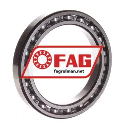 FAG 61913