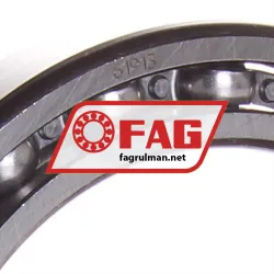FAG 61913 rulman resim 2