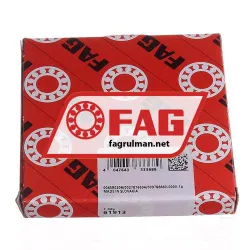 FAG 61913 rulman resim 4