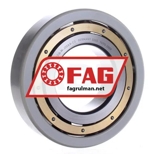 FAG 6318-M-J20AA-C3
