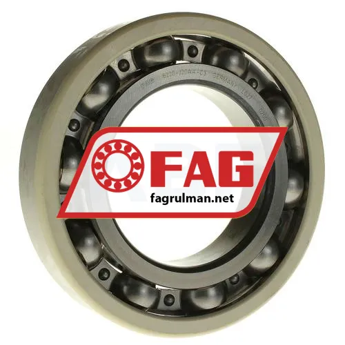 FAG 6220-J20AA-C3