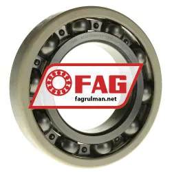 FAG 6220-J20AA-C3