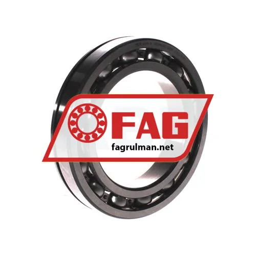 FAG 6018-N