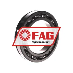 FAG 6018-N