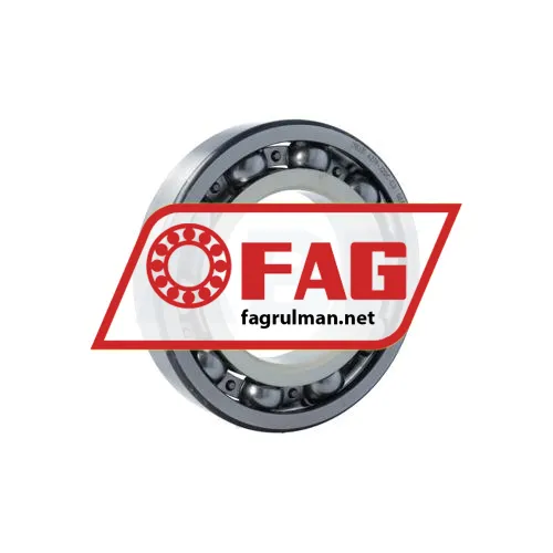 FAG 6219-J20C-C3