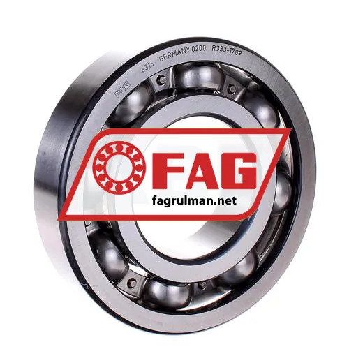 FAG 6316