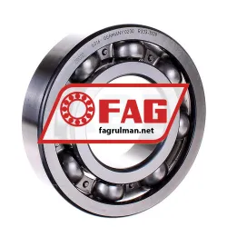 FAG 6316