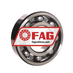 FAG 6314
