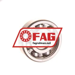 FAG 6302