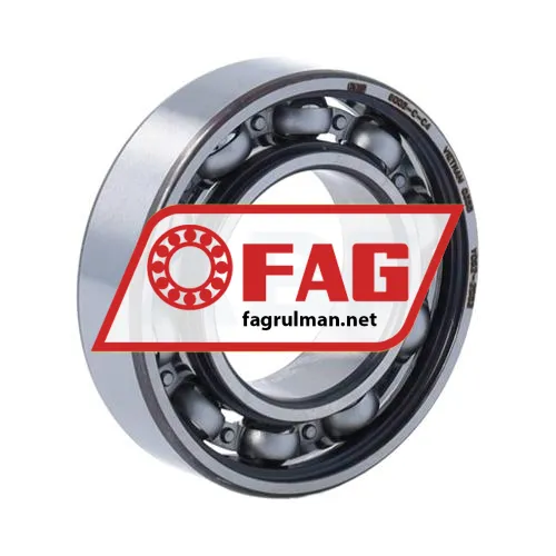 FAG 6005-C-C4
