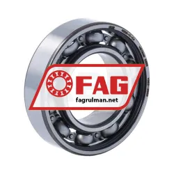 FAG 6005-C-C4