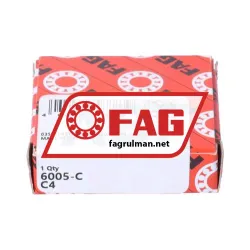 FAG 6005-C-C4 rulman resim 3