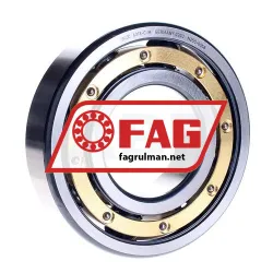 FAG 6313-C-M