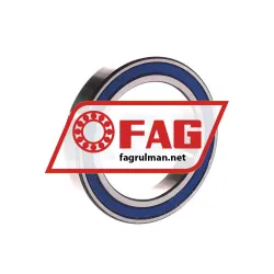 FAG 61910-2RZ