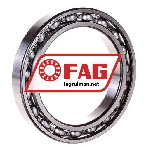 FAG 61917